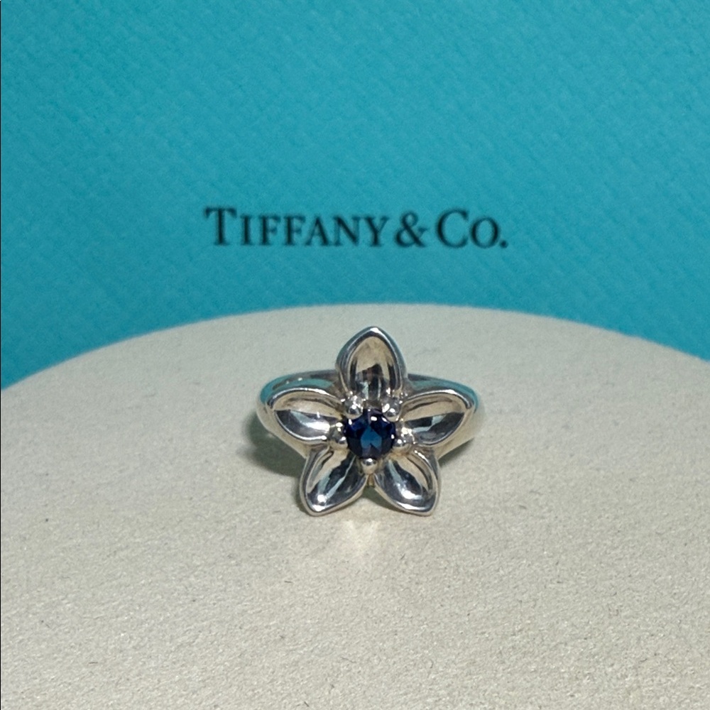 Tiffany & Co. Sterling Silver Iolite Daisy flower Iolite Ring - Picture 2 of 11